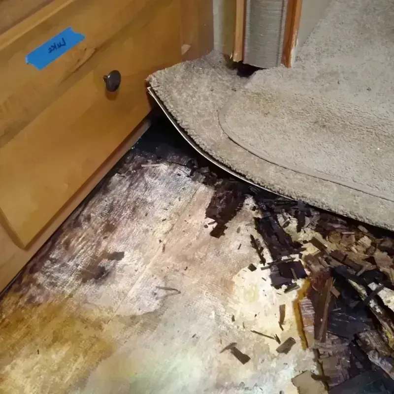 Best Wood Floor Water Damage Service in Jefferson, OH